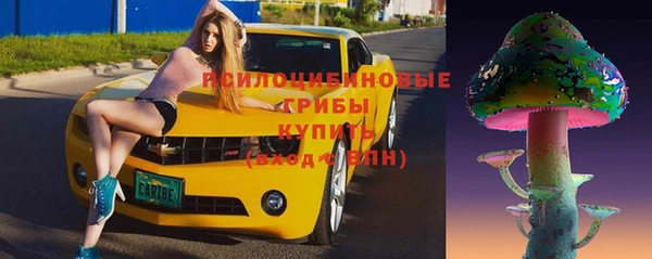 молекула духа Алексеевка