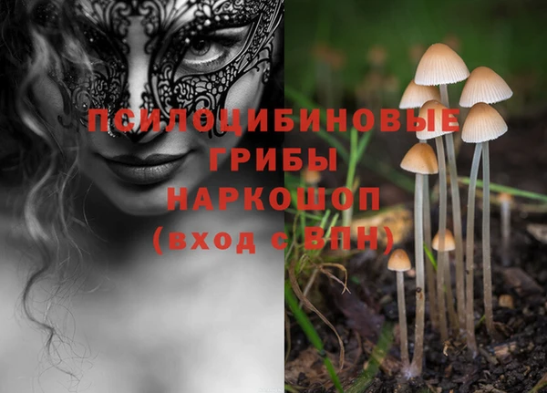ПСИЛОЦИБИНОВЫЕ ГРИБЫ Алексин