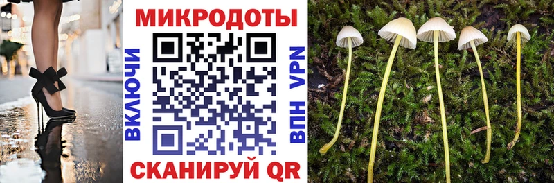 Галлюциногенные грибы мицелий  Владивосток 