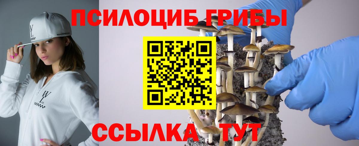 Владивосток  Галлюциногенные грибы Psilocybe  Вход с VPN 